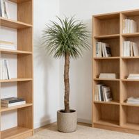 Plantes artificielles en pot de dracaena très réalistes de 230 cm, décoration intérieure, arbre d'agave artificiel pour hôtel, restaurant