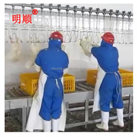 Ligne de machine d'abattage de poulets entièrement automatique en acier inoxydable SUS304, homologuée CE, 4000 poulets/heure, au meilleur prix