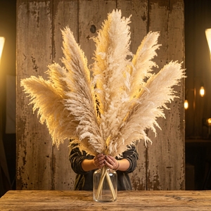 Hierba de Pampas Seca Natural, <span class=keywords><strong>Cortaderia</strong></span> Selloana Grande y Esponjosa, para Decoración de Bodas, San Valentín, Navidad y Hogar - Product Image 1