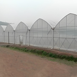 Serre en acier multi-chapelles avec structure en plastique, grande serre en <span class=keywords><strong>film</strong></span> PE facile à assembler, personnalisable pour jardins botaniques et sites touristiques - Product Image 3