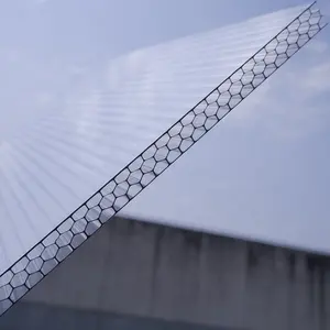 8mm 10mm 16mm Transparent Insulation Honeycomb Polycarbonate Hollow Sheet For Roof And Wall