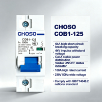 Sectionneur-Interrupteur Principal Domestique CHOSO COB1-125 2P AC 80A/100A/125A 230V 6kA/4kA Cat.A PA66 Montage sur Rail CE