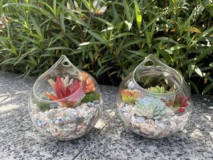 خزانات أسماك تررم مائية معلقة بالجملة ، وعاء نبات ، جدار terrarium - Product Image 5