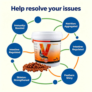 Suplemento para <span class=keywords><strong>Palomas</strong></span> Waylemo, Vitaminas Energéticas para Aves, Productos Nutricionales para <span class=keywords><strong>Palomas</strong></span> de Competición, OEM - Product Image 2