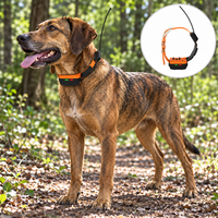 Collier de suivi GPS pour chien de chasse avec récepteur portable, suivi en temps réel, 4G, batterie 4 ans, matériau acrylique, 8 configurations