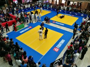 Alfombrilla DE LUCHA FightBro <span class=keywords><strong>10x10</strong></span> - Product Image 5