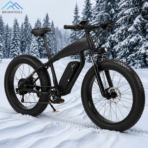 Bicicleta Eléctrica <span class=keywords><strong>de</strong></span> <span class=keywords><strong>Montaña</strong></span> con Llantas Gruesas, Batería Extraíble y Horquilla <span class=keywords><strong>de</strong></span> Suspensión, en Oferta - Product Image 2