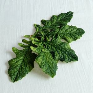 Feuilles <span class=keywords><strong>de</strong></span> <span class=keywords><strong>Gerbera</strong></span> artificielles en PU respectueuses <span class=keywords><strong>de</strong></span> l'environnement, Arrangement <span class=keywords><strong>de</strong></span> fleurs pour corsage <span class=keywords><strong>de</strong></span> Thanksgiving <span class=keywords><strong>de</strong></span> mariage, accessoires décoratifs pour usage intérieur - Product Image 2