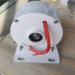 M-2 loại 500 Wát nam châm vĩnh cửu đất hiếm Máy phát điện alternator - Product Image 2