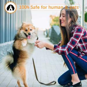 2025 Nieuw Ontwerp Handheld Hondentrainer Met Usb Oplaadbare Schorskraag Hond Afstotend Product - Product Image 5