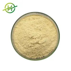 Ekstrak Herbal bubuk berine Hcl Harga Bersaing