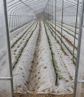 Kit d'irrigation goutte à goutte pour grande ferme/plantation, émetteur plat noir 16 mm en PE vierge pur, pour une hectare
