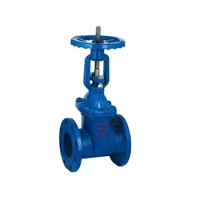 wholesale wate valve non rising flange gate valve 5 inch gate valve