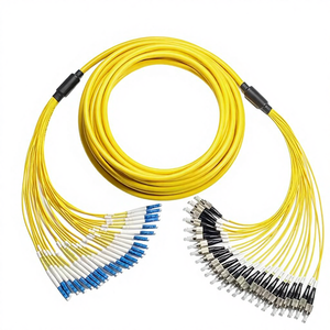 非融着シングルモード完成光ケーブル、24芯バンドル、テールファイバーブランチケーブル、プレターミネーション済みスプライスバンドルケーブル - Product Image 5