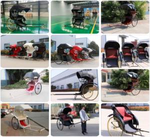 Triciclo Eléctrico Plegable con Capota, Estilo Rickshaw Vintage, Jinrikisha de Empuje Manual, Estilo Carruaje Real - Product Image 6