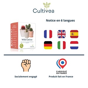 Graines de cactus à faire pousser soi-même, françaises, 100% écologiques, pour planter <span class=keywords><strong>et</strong></span> décorer, idée cadeau, kit de démarrage de cactus mixtes - Product Image 4