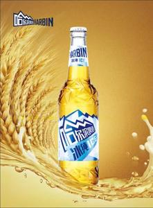 Birra Ghiacciata di Harbin di Alta Qualità, Esportata dalla Cina, Premium /500ml/bottiglia*12/Larger9.1 ° P Gusto Fresco e Leggero Vendita all'Ingrosso - Product Image 6