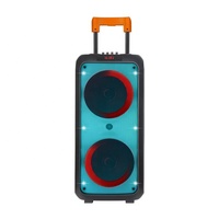 NDR1095 Altavoces grandes para exteriores DJ party caja de luz LED colorida sonido doble altavoz de carro recargable de 8 pulgadas con micrófono