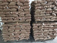 2025 Nieuwe Oogst Zoete Smaak China Verse Kastanje Goede Prijs Groothandel Leverancier Fabrieksexporteur