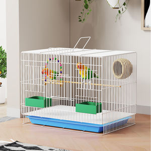 Weerbestendige Grote Vogelkooien Beveiligen Buiten Ijzeren Vogelhuisjes Door Chinese Fabrikanten Voor Laaggeprijsde Papegaaien - Product Image 5