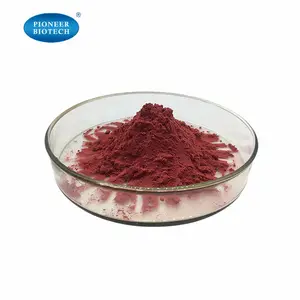 Ekstrak biji anggur murni 95% polyphenpolyphenol Anthocyanin bubuk ekstrak biji anggur