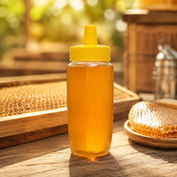 Botellas de Plástico PP de Grado Alimenticio para Salsas, Miel, Condimentos, Mayonesa y Mostaza