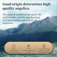 Tranches de racine d'angélique de Hee Creek, 7,05 oz/200 g, bouteille, angélique séchée chinoise, Sinensis Dong Quai, tisane