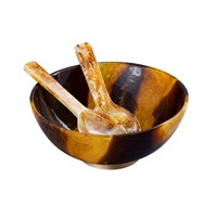 Ensemble de bols de service jetables en résine, durables, réutilisables, biodégradables, de qualité alimentaire, décoratifs, pour pâtes et salades, avec cuillères, respectueux de l'environnement