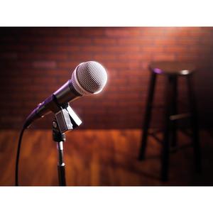 HQ-Power UNIVERSAL MICROPHONE HOLDER 35 mm avec ressort - Product Image 2