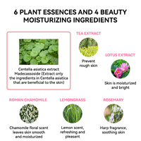 Vente chaude prix d'usine LOGO personnalisé lingettes démaquillantes glace refroidissement Toner Essence cosmétique coton tampon vaporisateur