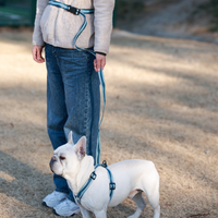 Laisse pour chien mains libres réglable en jacquard, avec quincaillerie en alliage de zinc durable, idéale pour la marche, la course et les activités de plein air