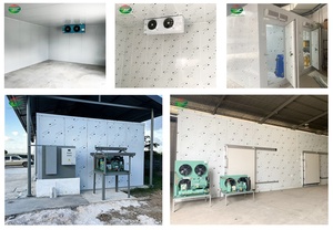 Cámara frigorífica <span class=keywords><strong>de</strong></span> acero inoxidable <span class=keywords><strong>a</strong></span> precio competitivo, sala frigorífica para alimentos congelados y carne - Product Image 5