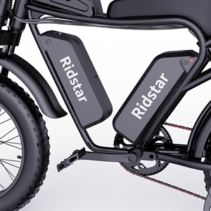 RIDSTAR Q20 PRO Bicicleta Eléctrica de 20 Pulgadas, Fatbike Rápida, 52V 40Ah, Neumáticos Anchos, Motor Dual, Batería, Bicicleta de Montaña para Adultos, Q20 Bicicleta Eléctrica - Product Image 4