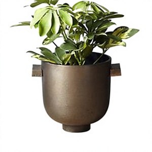 Pot de fleurs en métal bronze avec poignées, jardinière ronde moderne pour la décoration intérieure des plantes vertes - Product Image 1