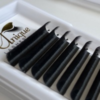 Extensions de cils en camélia L M LC LD LB C D CC DD Curl 0.03 0.05 0.07mm en PBT coréen, naturelles, douces, faites à la main, pour un volume accru