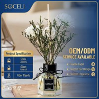 Diffuseur de parfum professionnel OEM 50 ml de luxe avec étiquette privée personnalisée pour les boutiques e-commerce