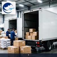 Servicio de Envío Exprés de Ningbo a Tailandia, DDP, DDU, Servicio de Mensajería Exprés, Servicio DDP, DDU