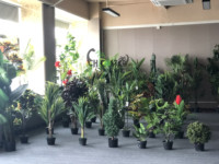 Arbre artificiel en feuilles de bananier en plastique PE de 210 cm pour la décoration de la maison et du jardin, petit bonsaï, bananier voyageur pour une utilisation en intérieur et en extérieur