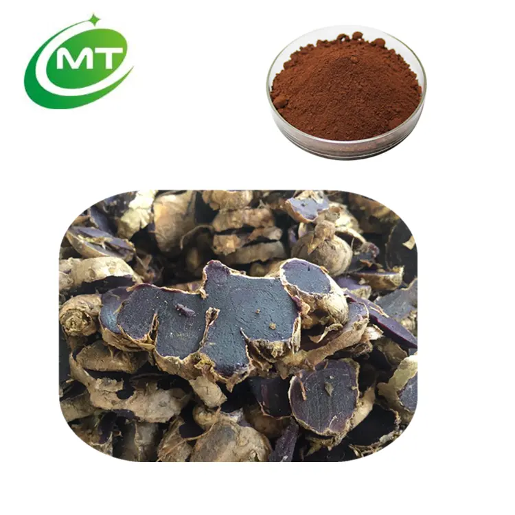 Top-Quality Organic 10:1 best price hot sell free sample Thai black Ginger Kaempferia Parviflora Extract Powder