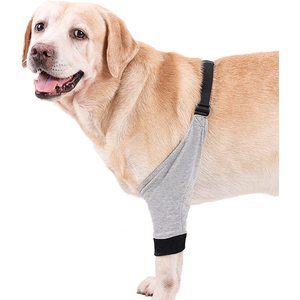Dog <b>Knee</b> <b>Support</b> <b>Brace</b> Grey Front Leg Protector Joint Warmers for Dogs - Product Image 4