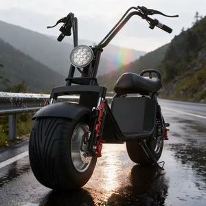 Moped électrique haut de gamme 1000W, scooter électrique pour adultes, pour les <span class=keywords><strong>d</strong></span>éplacements urbains et les trajets quotidiens - Product Image 4