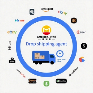 Soluzioni Affidabili per il Trasporto Merci, Agente di Spedizione Esperto, Doppio Sdoganamento, Tasse Incluse, Dropshipping Italia UK Via Aerea+Espressa - Product Image 2