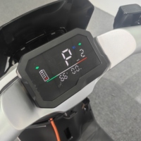 Véhicule Électrique Urbain à Deux Roues pour Adultes, Moteur 1000W, Haute Vitesse, Longue Autonomie, Design Exquis, Ventes Transfrontalières à Succès, Prise en Charge OEM