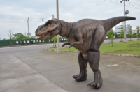   Costume de dinosaure fait main, haute technologie, portable, grande taille, modèle animatronique