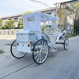 Calèche de Mariage Personnalisée Haut de Gamme avec Détails de Sculpture Raffinés pour Cérémonies en Plein Air, Parcs à Thème et Présentations Touristiques - Product Image 6