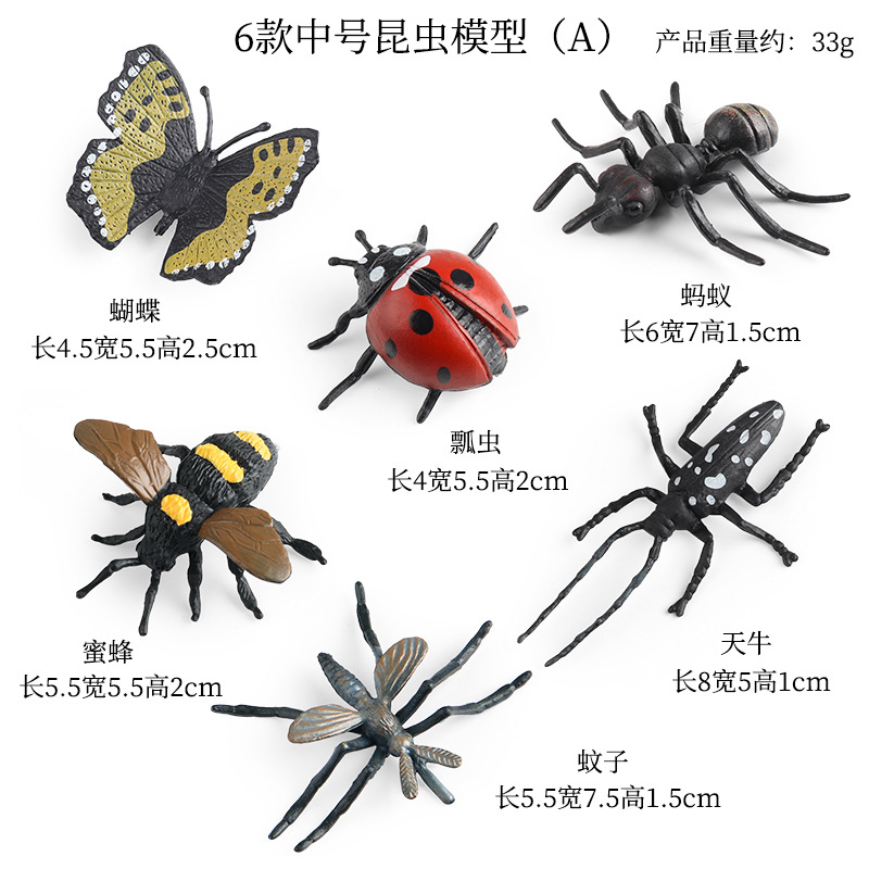 ZZ Medium Insect 6 Set A
