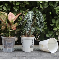 Pot de plante auto-arrosant en plastique, pot d'orchidée avec trous, pot de pépinière transparent pour Phalaenopsis, fournitures de décoration de jardin et de bonsaï