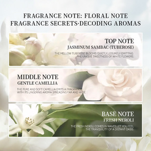 Boîte de parfum arabe miniature élégante et luxueuse pour femmes, collection de cadeaux haut de gamme, parfum floral longue durée, eau de parfum - Product Image 5