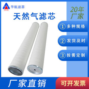 Élément filtrant pour gaz naturel FG-336 Élément filtrant pour gazoduc de gaz naturel Élément filtrant pour gaz naturel en fibre de verre - Product Image 5