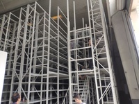 Fournisseurs chinois de rayonnages : Rayonnage à gravité en acier/métal avec finition thermolaquée, système de stockage robuste pour entrepôt